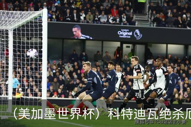 （美加墨世界杯）科特迪瓦绝杀厄瓜多尔 瑞典5:1大胜突尼斯